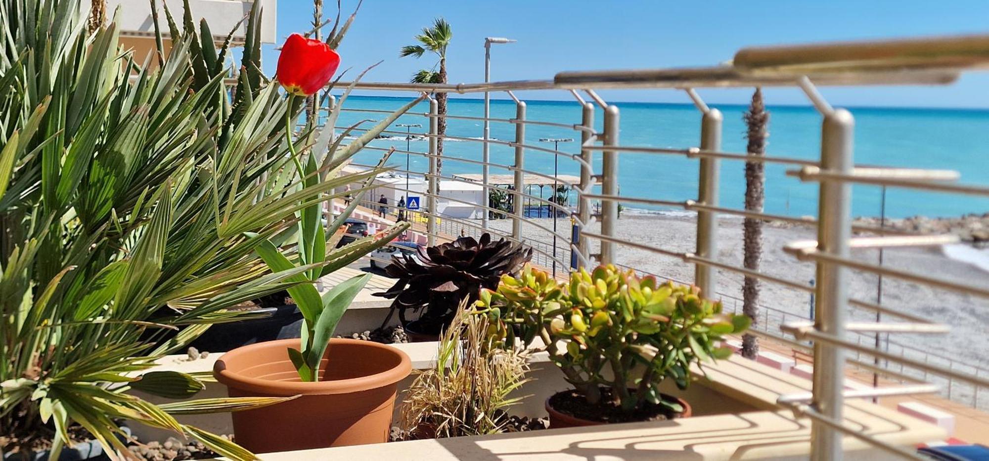 Mare Blu Apartment Ventimiglia Ngoại thất bức ảnh